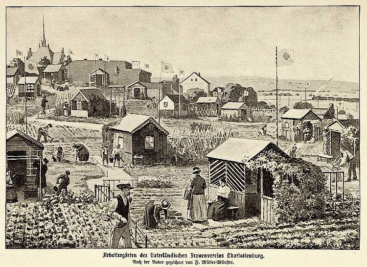 Zeichnung der Arbeitergärten in Berlin-Charlottenburg, Rotkreuz-Museum Luckenwalde 