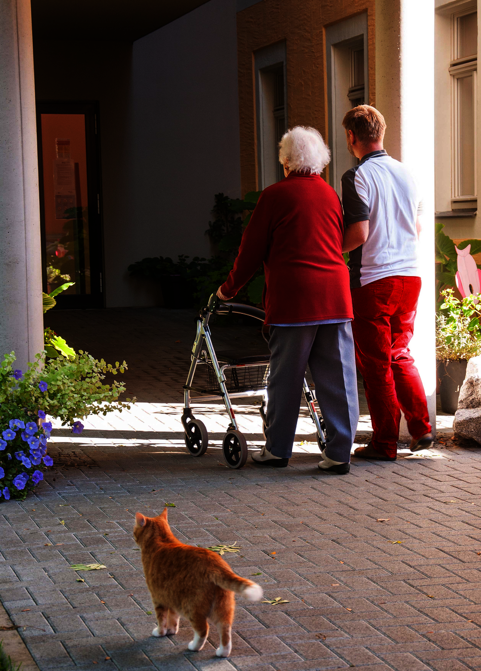 Pflegefachkraft mit Klientin Pflegekraft geht mit Klientin
