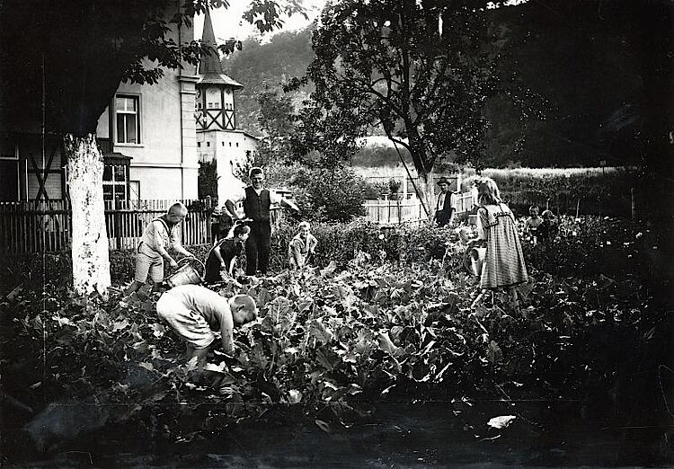 Im DRK-Erholungsheim Sonnenstein in Thüringen helfen Kinder im Gemüsegarten (DRK)