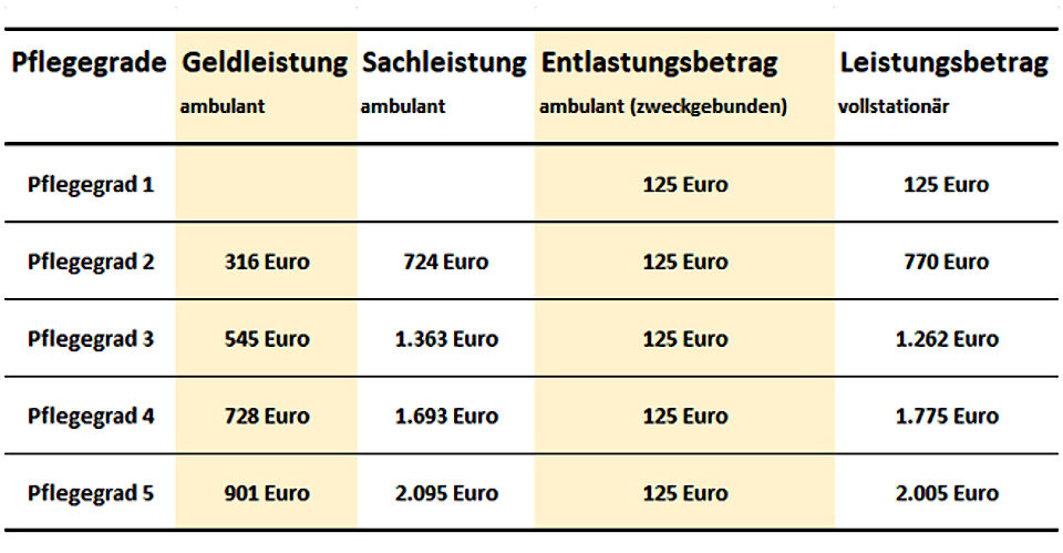 Die Leistungen der Pflegeversicherung Die Leistungen der Pflegeversicherung